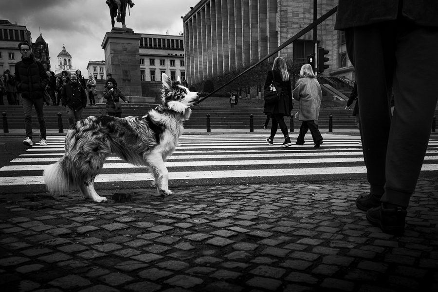 Matthieu Roisil — Street photography